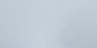 Sjećanje na akademika Ivu Pevaleka: čuvar prirodnog blaga Plitvičkih jezera