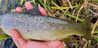 U srijedu otvaranje ribolovne sezone na Gacki