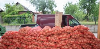 Krumpir je poskupio, ali samo kod nekih prodavača