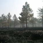 IMG-20230820-WA0000