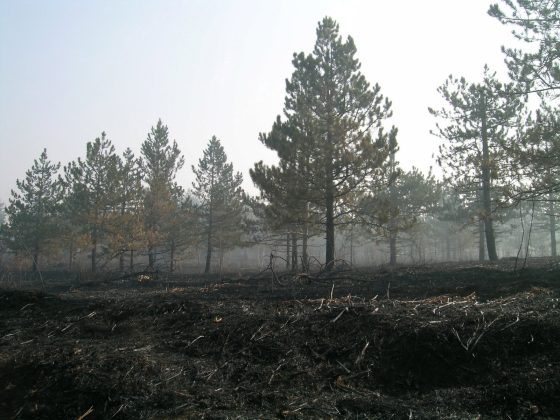 Vatra Požar