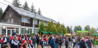 “Dani sira i krumpira” u Lovincu 14. rujna