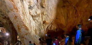 Međunarodna noć šišmiša u Javnoj ustanovi Grabovača