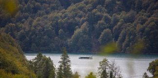 Danas obilježavamo međunarodni dan šuma: Plitvičke šume podsjećaju na svoju neprocjenjivu vrijednost