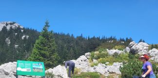Volonterski program za očuvanje Velebitskog botaničkog vrta uspješno završen