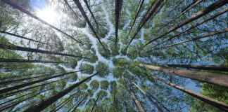 Radionice za šumoposjednike u Gospiću o potporama unutar ekološke mreže Natura 2000