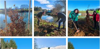 Kroz projekt „Hrvatska prirodno tvoja“ u Brinju posađene sadnice klena i hrasta sladuna