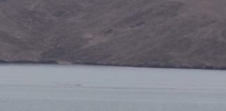 VIDEO Neobični objekt velikom brzinom projurio Velebitskim kanalom: snimljen s obale Karlobaga