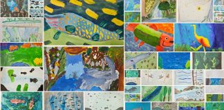 Rezultati likovnog natječaja „Bioraznolikost Like“: Učenici iz cijele Hrvatske pokazali kreativnost i ljubav prema prirodi