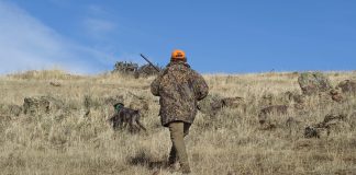 Olovno streljivo ozbiljna prijetnja prirodi i zdravlju