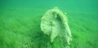 Alge parožine potvrđuju iznimnu čistoću jezera Nacionalnog parka Plitvička jezera