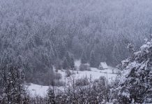 Snježna bajka u Krasnu: prvi ovosezonski snijeg zabijelio Sjeverni Velebit Snijeg