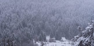 Snježna bajka u Krasnu: prvi ovosezonski snijeg zabijelio Sjeverni Velebit Snijeg