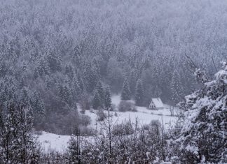 Snježna bajka u Krasnu: prvi ovosezonski snijeg zabijelio Sjeverni Velebit Snijeg