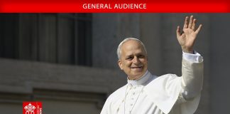 VIDEO Papa pozdravio vjernike Gospićko-senjske biskupije