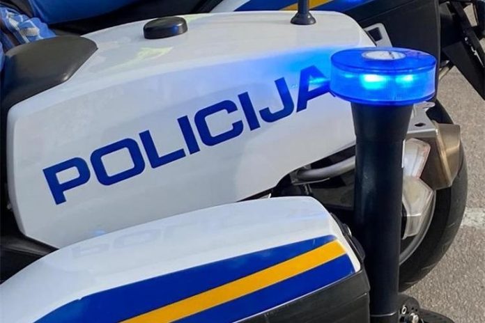 Motor policija