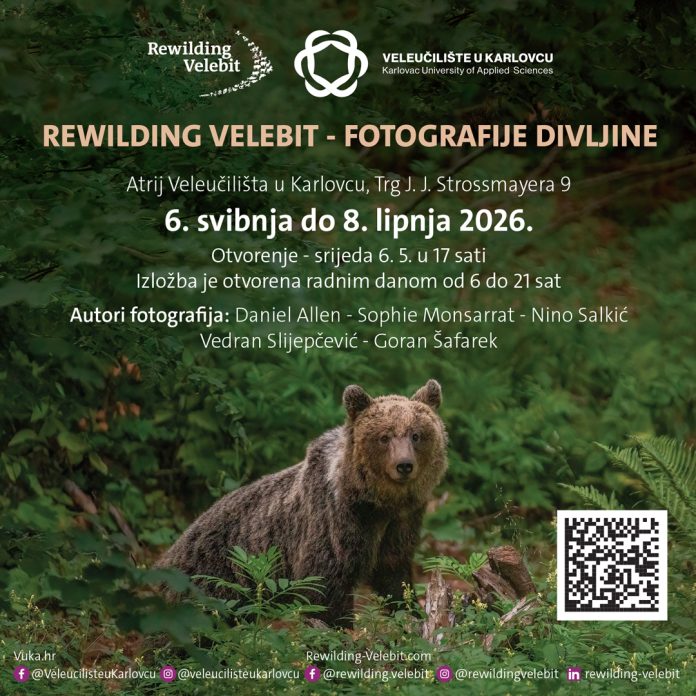 Rewilding_Velebit_izlozba_banner_MEDVJED_1080x1080px