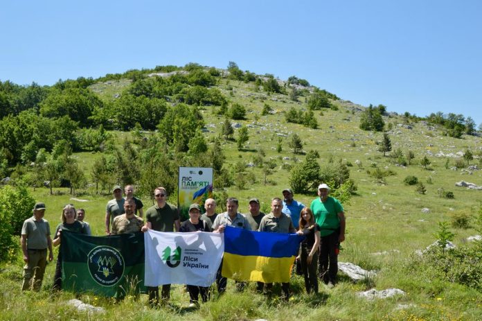 Šuma sjećanja