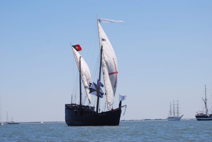 cvmvet-caravel-994285