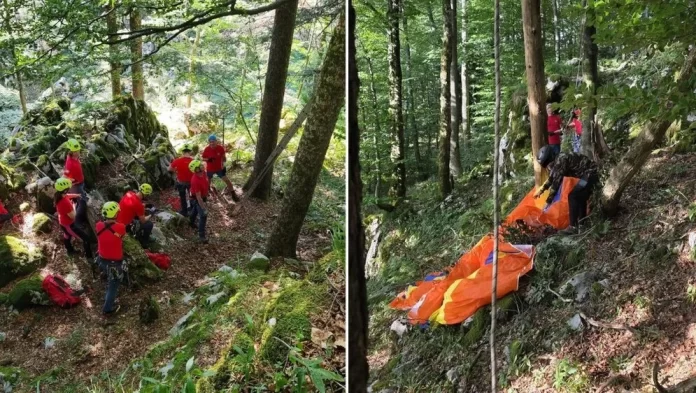 paraglajder-zapeo-u-krosnji